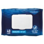 Personal Cleansing Wipe Prevail® Soft Pack Scented 48 Count